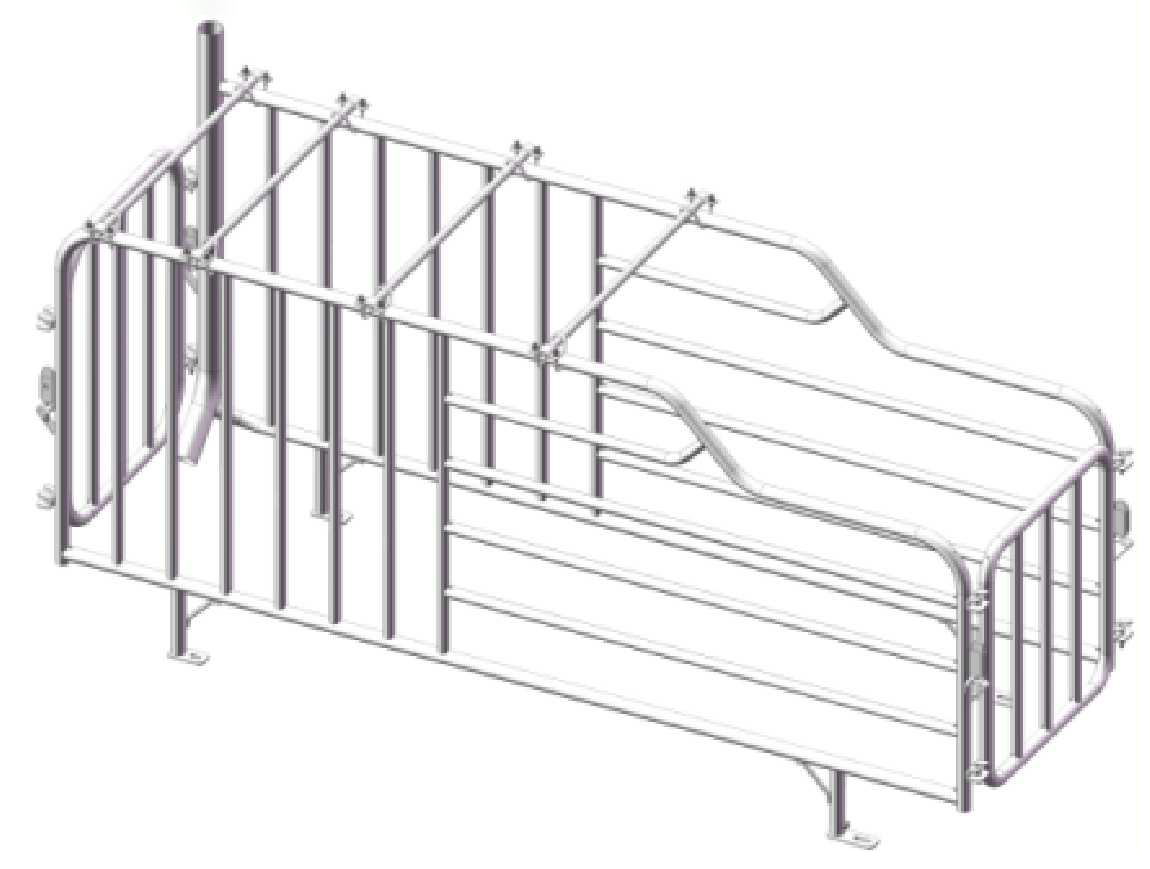 Schwangerschaft 3D